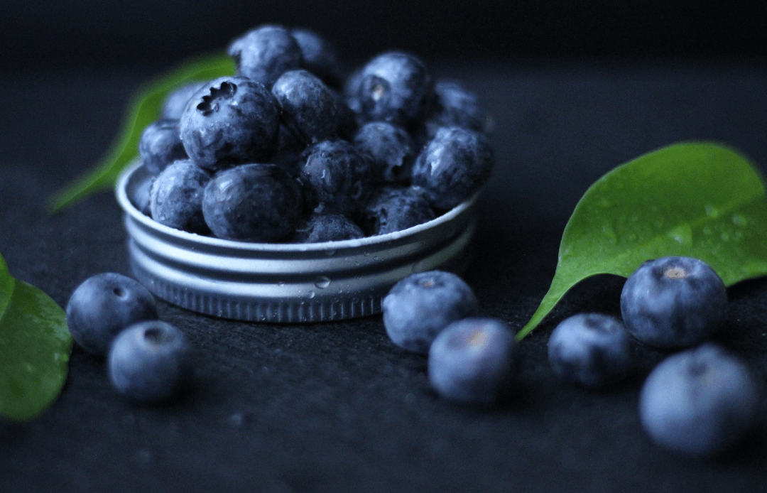 The Nutritional Benefits of Blueberries for Birds – Pixie Paws Pets