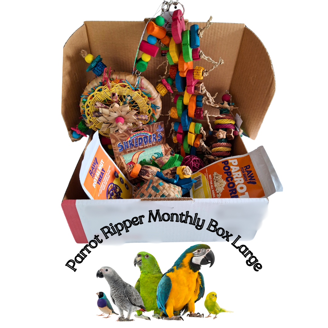 Large Parrot Ripper Monthly Box