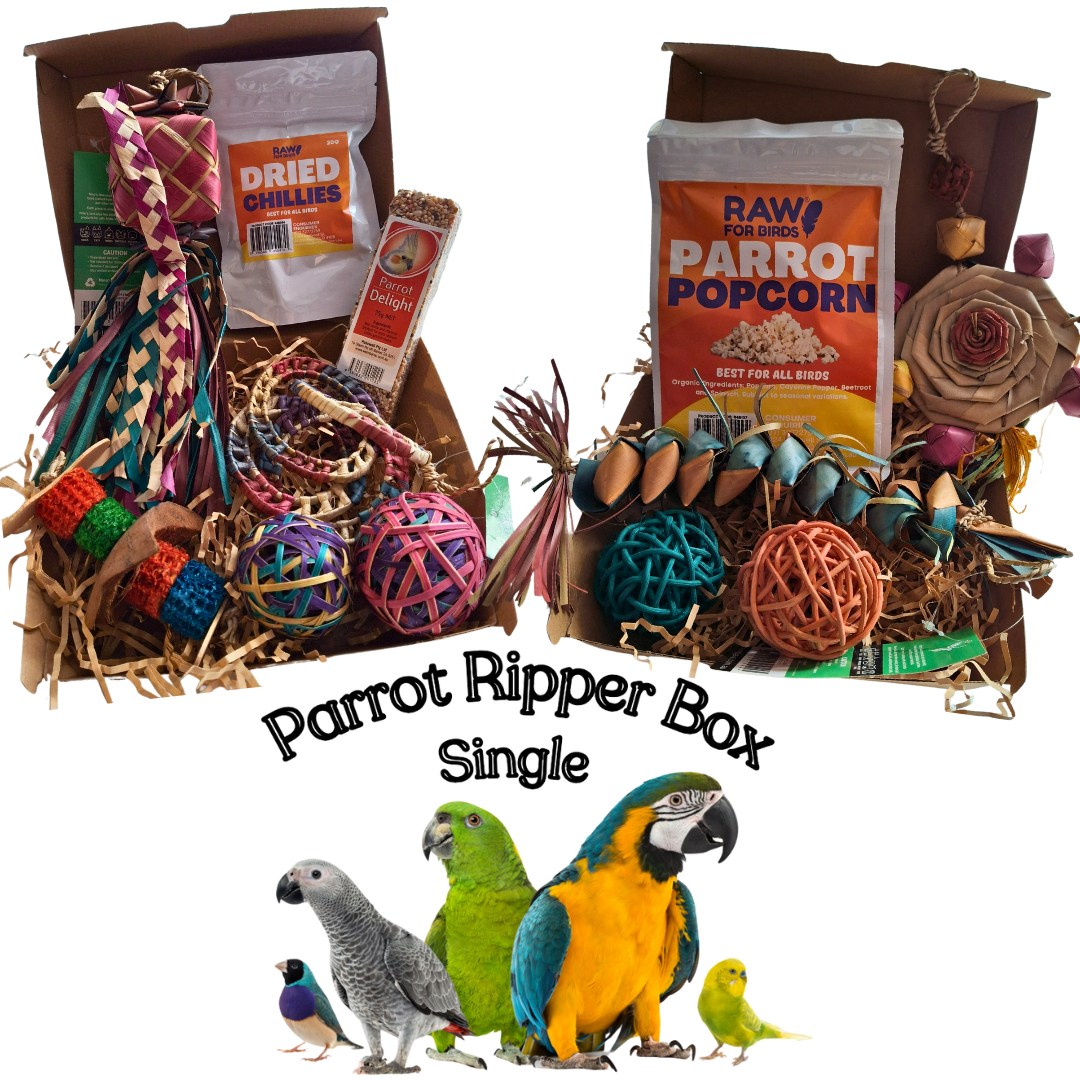 Single Parrot Ripper Box - Small