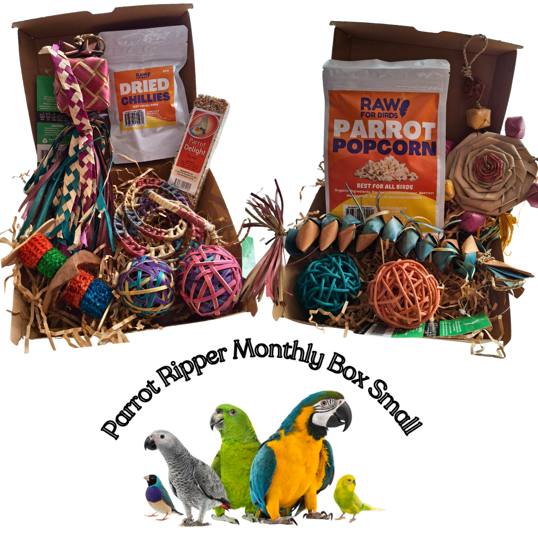 Small Parrot Ripper Monthly Box