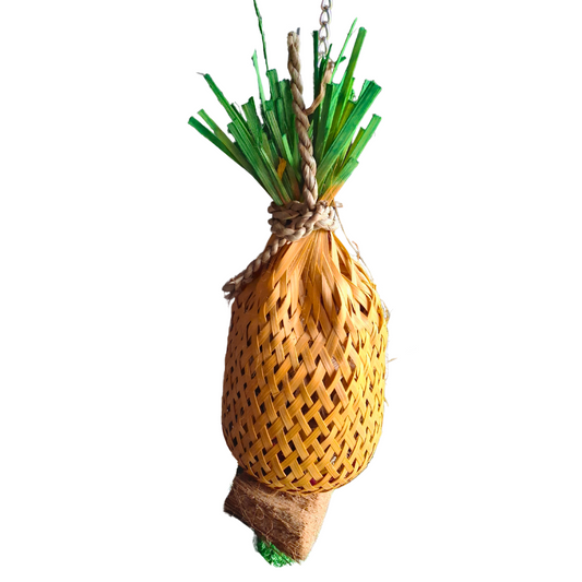 Stuffed Pineapple Forager