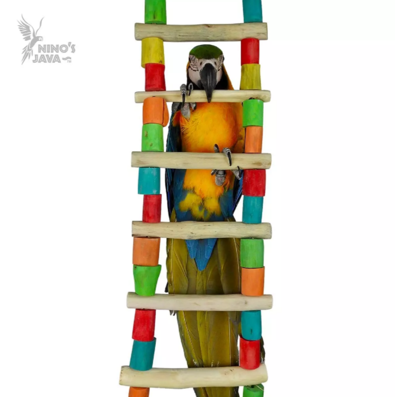 Giant Parrot Ladder